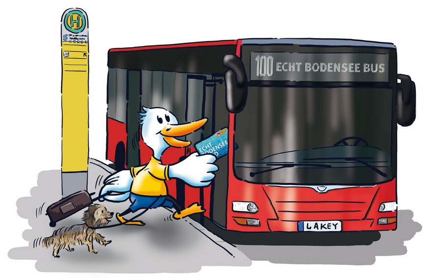 Bild Echt Bodensee Bus