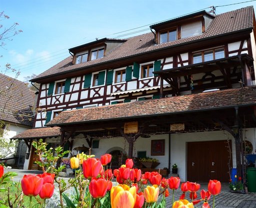 Ansicht Fachwerkhaus Torkelhaus mit blühenden Tulpen im Vordergrund